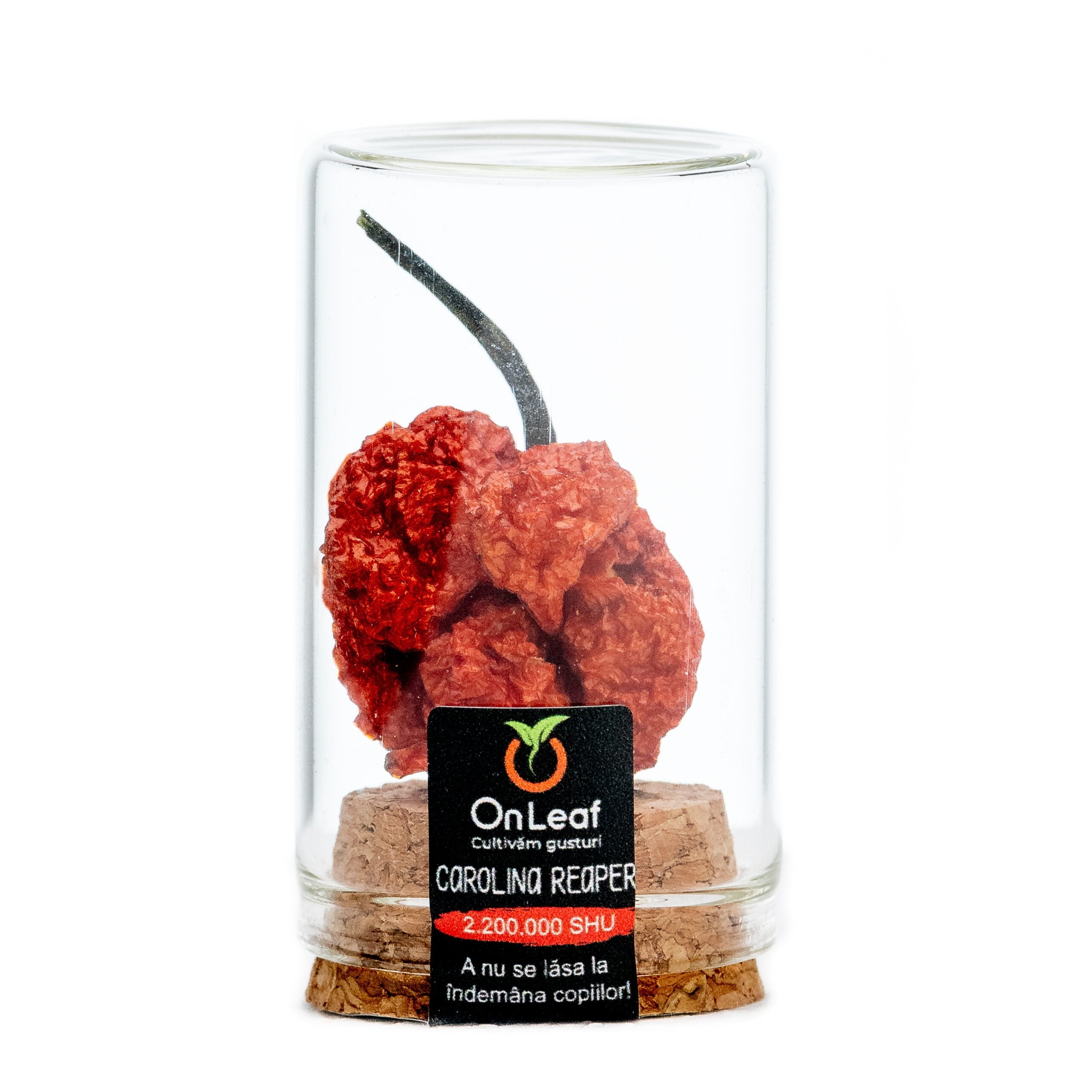 Pachet 7 Produse Picante, Hot Essentials, 812 g