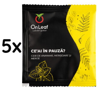 Ce’ai în pauză? cu ananas, merișoare şi mentă