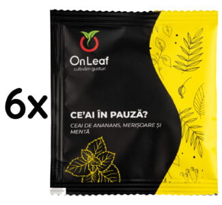 Ce’ai în pauză? cu ananas, merișoare şi mentă